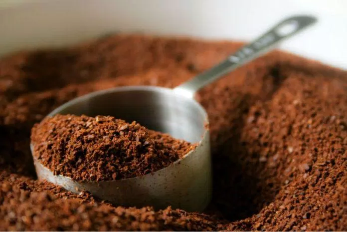 Cà phê chồn có giá lên tới hàng triệu đồng một kg (Ảnh: Internet)