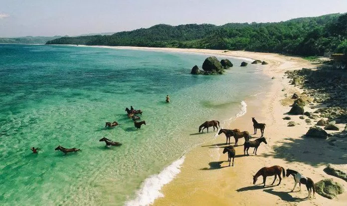 Khám phá đảo Sumba – Đảo ngọc tuyệt đẹp tại Indonesia - Nguồn: Internet