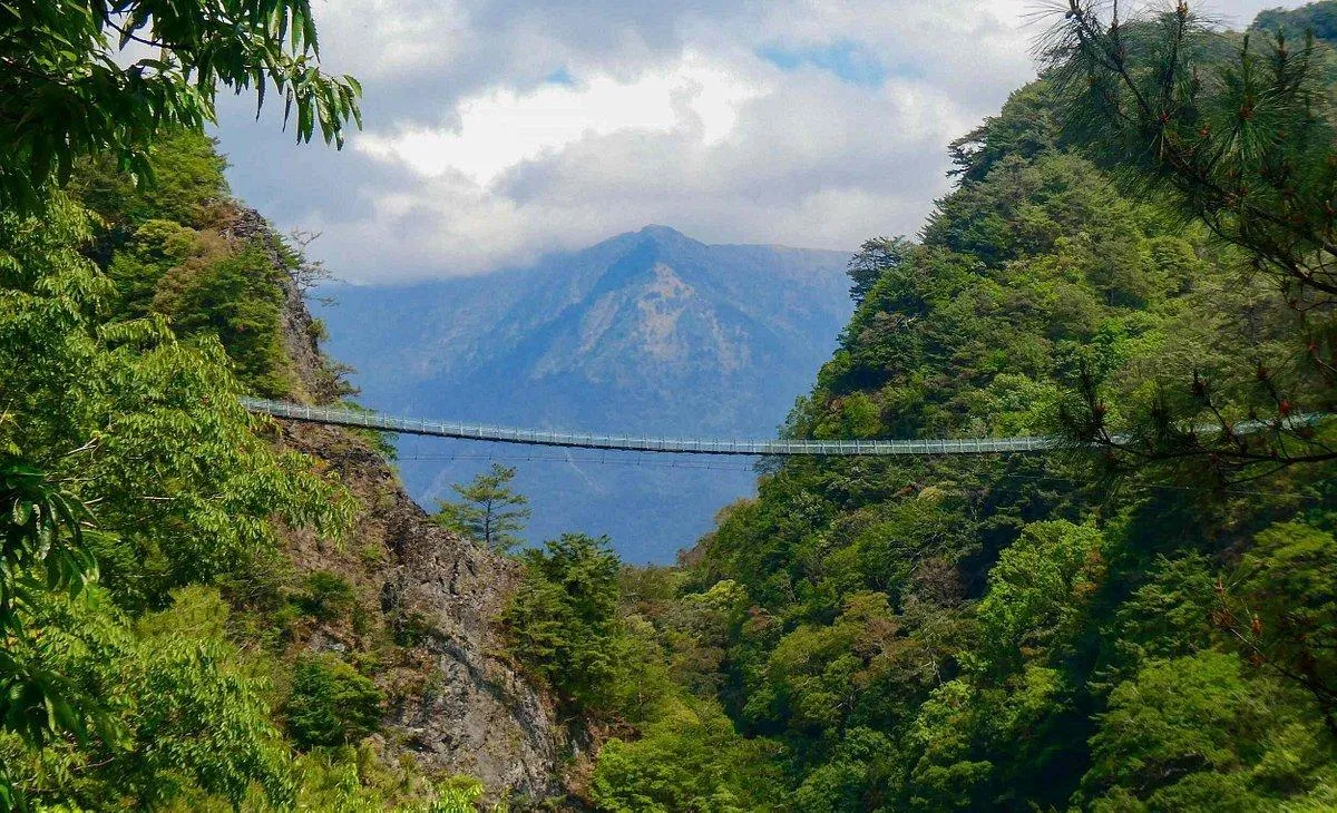 Rừng quốc gia Aowanda - Nguồn: Internet Rừng quốc gia Aowanda - Nguồn: Internet