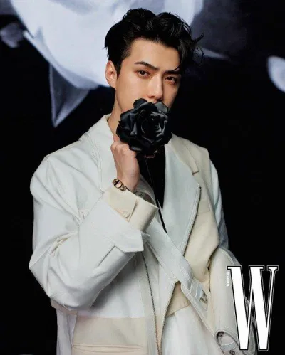 Sehun EXO (Ảnh: Internet)