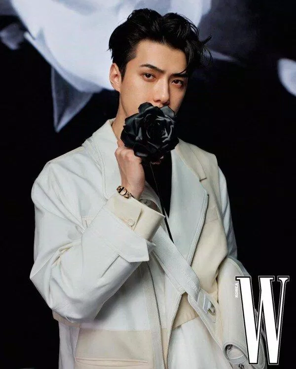 Sehun EXO (Ảnh: Internet)