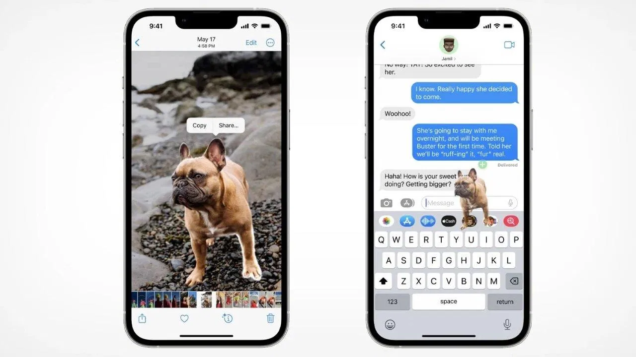 Tính năng tách chủ thể hình ảnh trong iOS 16 (Ảnh: Internet)