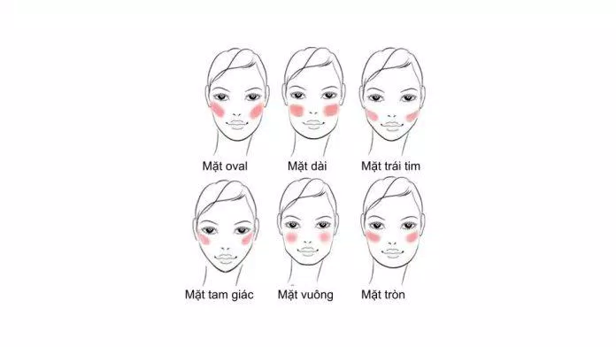 Cách đánh má hồng cho từng kiểu mặt. Ảnh: Internet.