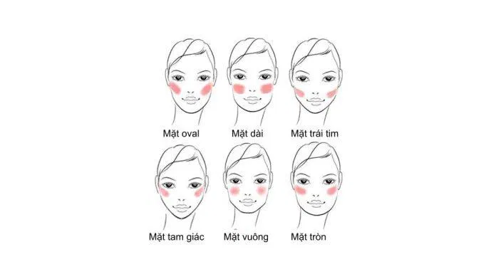 Cách đánh má hồng cho từng kiểu mặt. Ảnh: Internet.
