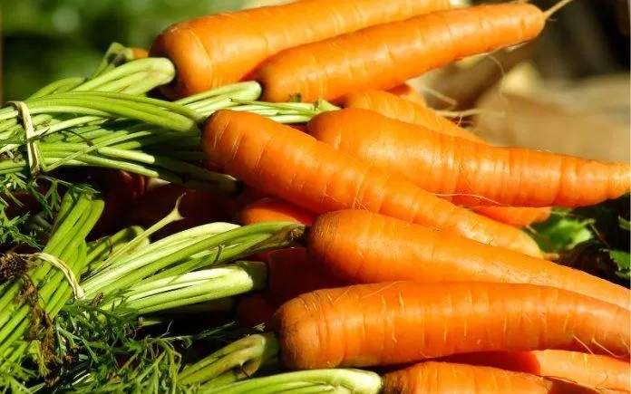 Người bị gan nhiễm mỡ nên dùng cà rốt thường xuyên (Ảnh: Internet)