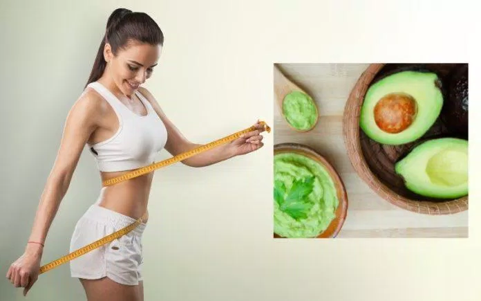 Quả bơ giúp người dùng giảm cân an toàn và hiệu quả (Ảnh: Internet) Quả bơ giúp người dùng giảm cân an toàn và hiệu quả (Ảnh: Internet)