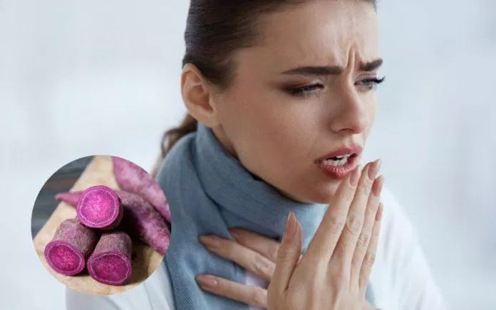 Khoai lang tím có tác dụng giảm các triệu chứng hen suyễn (Ảnh: Internet) Khoai lang tím có tác dụng giảm các triệu chứng hen suyễn (Ảnh: Internet)