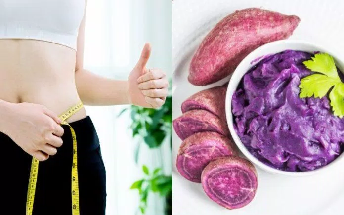 Bạn có thể bổ sung khoai lang tím vào thực đơn giảm cân mỗi ngày (Ảnh: Internet) Bạn có thể bổ sung khoai lang tím vào thực đơn giảm cân mỗi ngày (Ảnh: Internet)
