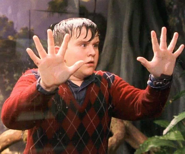 Dudley Dursley