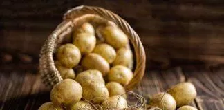 5 rau củ giàu chất sắt hơn thịt bò