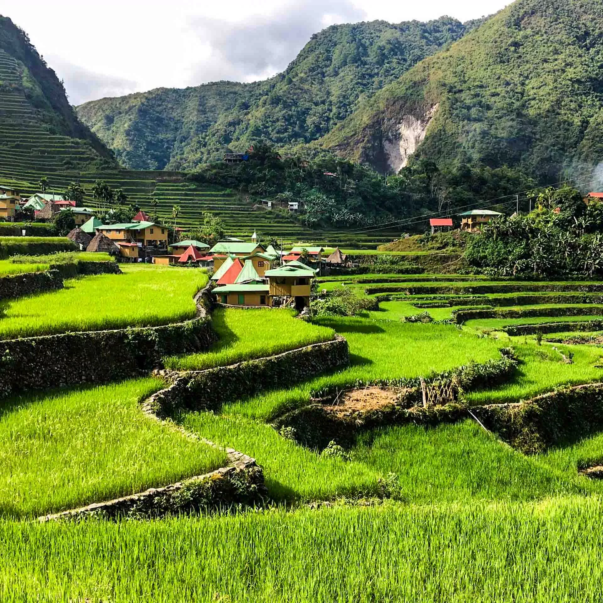 Ruộng bậc thang Banaue - Nguồn: Internet