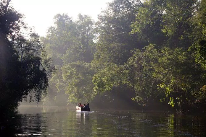 Sông Kinabatangan - Nguồn: Internet Sông Kinabatangan - Nguồn: Internet