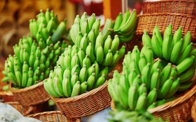 Chuối xanh có thể gây hại cho sức khỏe người dùng (Ảnh: Internet) Chuối xanh có thể gây hại cho sức khỏe người dùng (Ảnh: Internet)