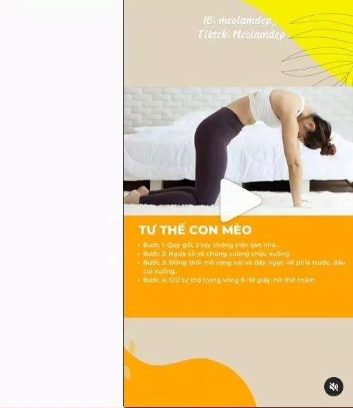 Tư thế con mèo (Nguồn: Internet)