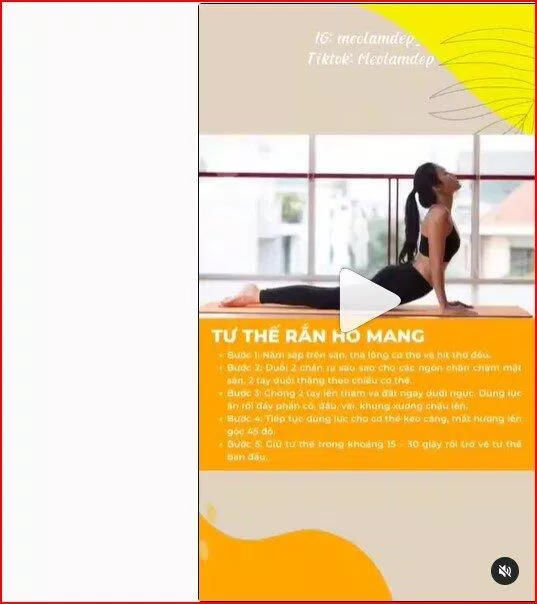 Tư thế rắn hổ mang (Nguồn: Internet)