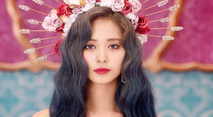 Tzuyu được mệnh danh là gương mặt đẹp nhất thế giới ( ảnh: internet).