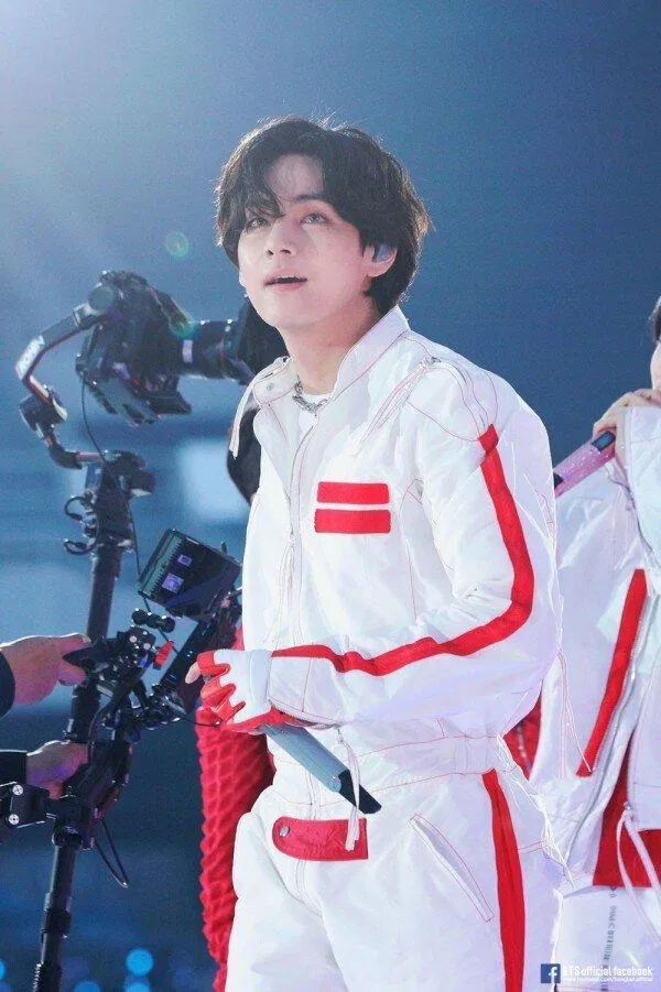 V BTS (Ảnh: Internet)