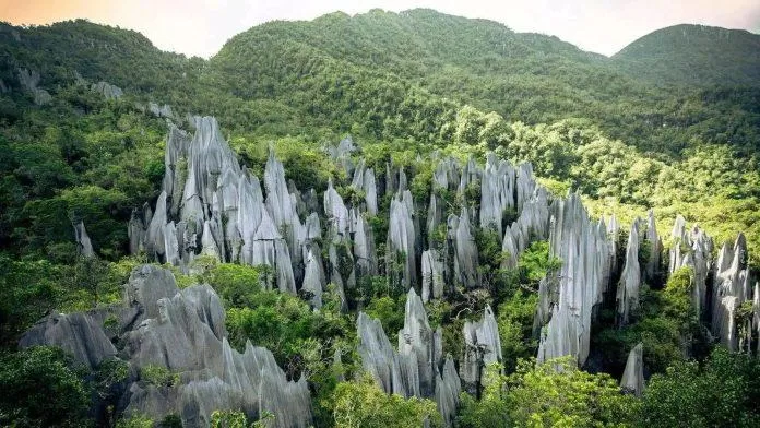 Vườn quốc gia Gunung Mulu - Nguồn: Internet Vườn quốc gia Gunung Mulu - Nguồn: Internet