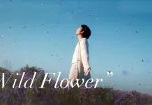 MV solo đầu tiên của RM - Wild Flower. (Ảnh: Internet)