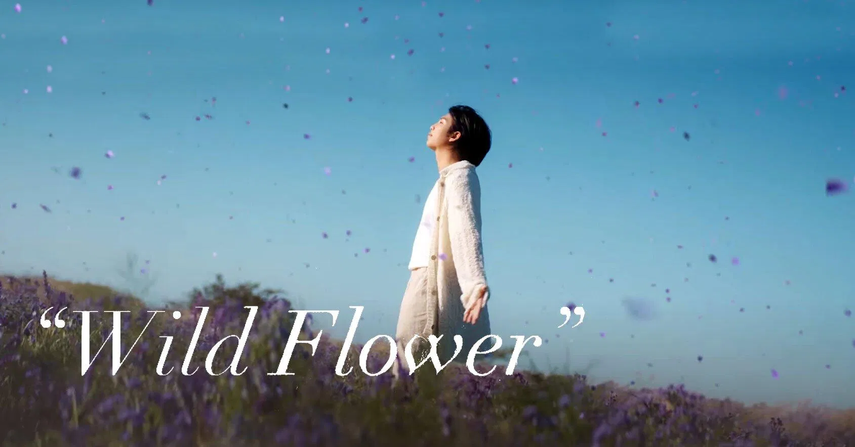 MV solo đầu tiên của RM - Wild Flower. (Ảnh: Internet)
