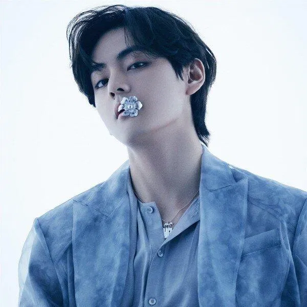 V BTS (Ảnh: Internet)