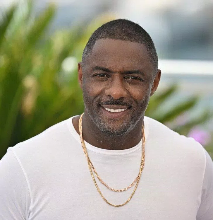 Idris Elba (Ảnh: Internet)