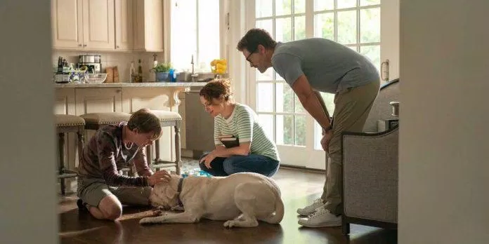Chú chó trong phim Dog Gone khác với chú chó trong câu chuyện thực (Ảnh: Internet)