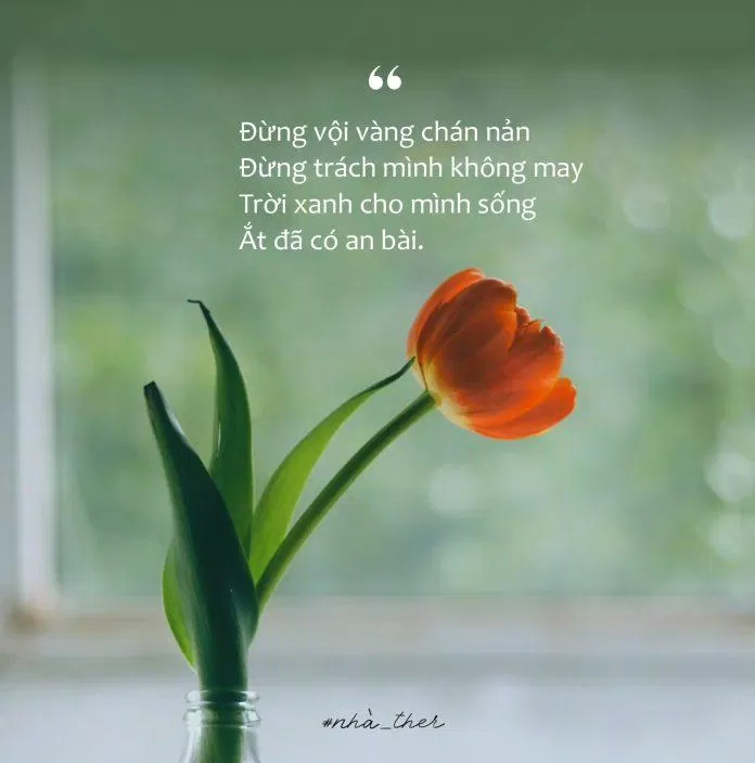 Người trưởng thành về mặt cảm xúc sẽ tự chữa lành nhiều hơn (Ảnh: Internet) Người trưởng thành về mặt cảm xúc sẽ tự chữa lành nhiều hơn (Ảnh: Internet)