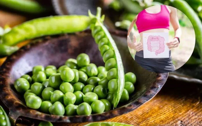 Đậu Hà Lan giúp cải thiện đường tiêu hóa (ảnh: Internet) Đậu Hà Lan giúp cải thiện đường tiêu hóa (ảnh: Internet)