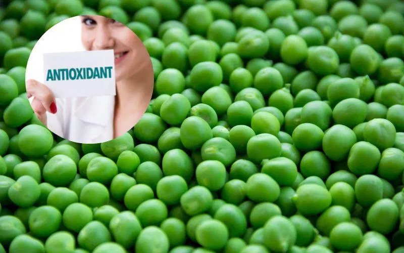 Đậu Hà Lan giúp tăng cường chống oxy hóa (ảnh: Internet) Đậu Hà Lan giúp tăng cường chống oxy hóa (ảnh: Internet)