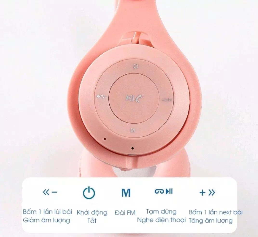 (ảnh: BinTech) (ảnh: BinTech)