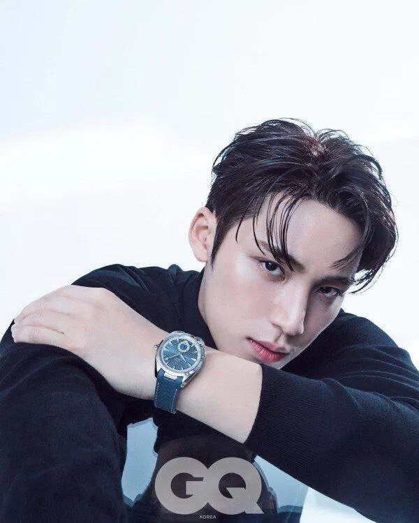 Mingyu SEVENTEEN (Ảnh: Internet)