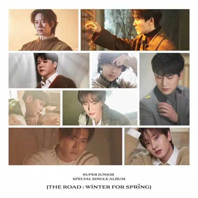 Super Junior (Ảnh: Internet)