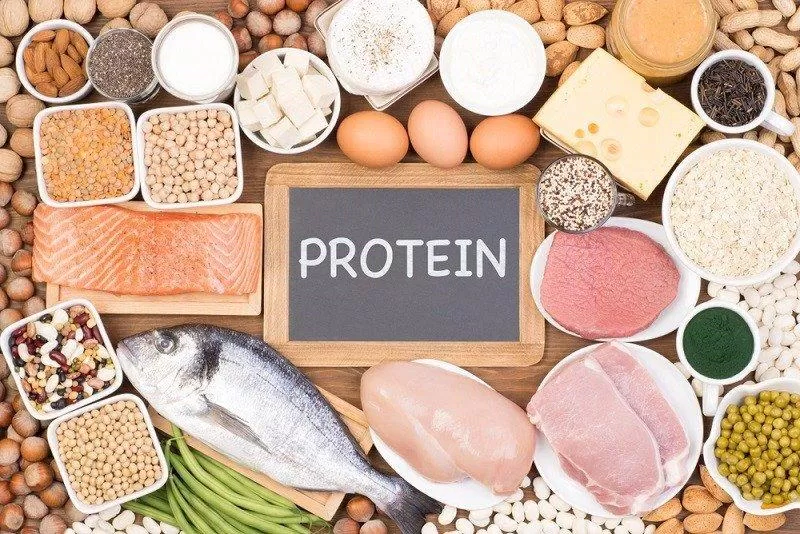 Thực phẩm giàu protein (Nguồn: Internet)