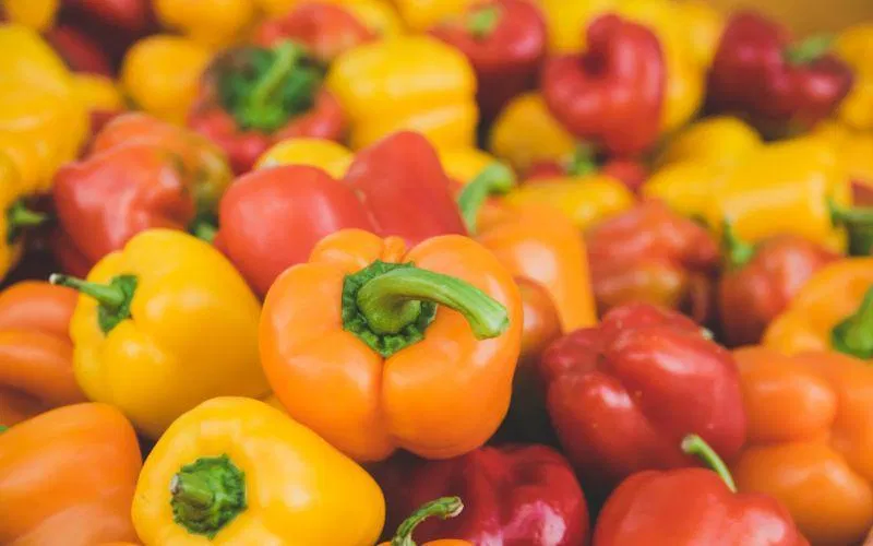 Ớt chuông (Nguồn: Internet)