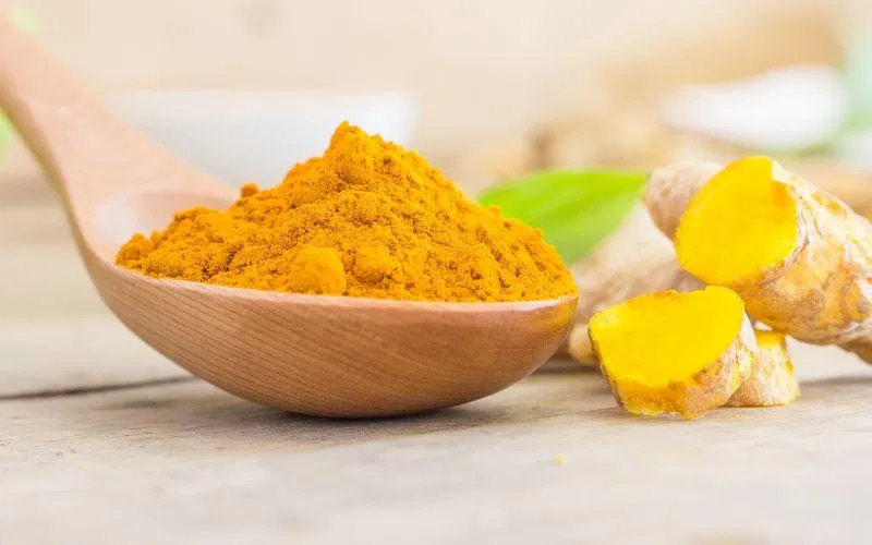 Nghệ (Nguồn: Internet)