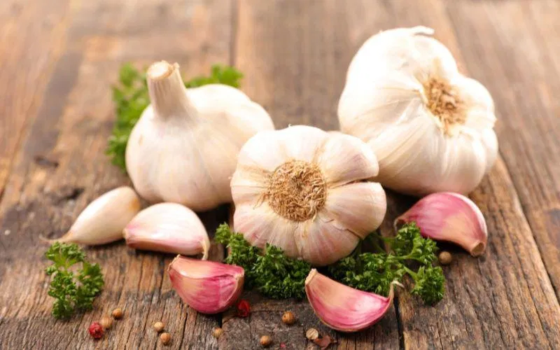 Tỏi (Nguồn: Internet)