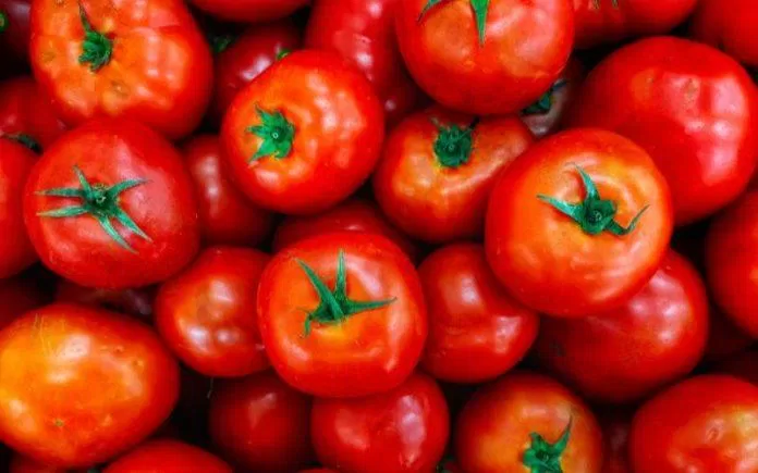 Cà chua (Nguồn: Internet)