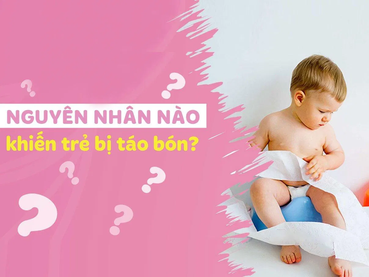 Nguyên nhân gây táo bón( Nguồn: Internet) Nguyên nhân gây táo bón( Nguồn: Internet)