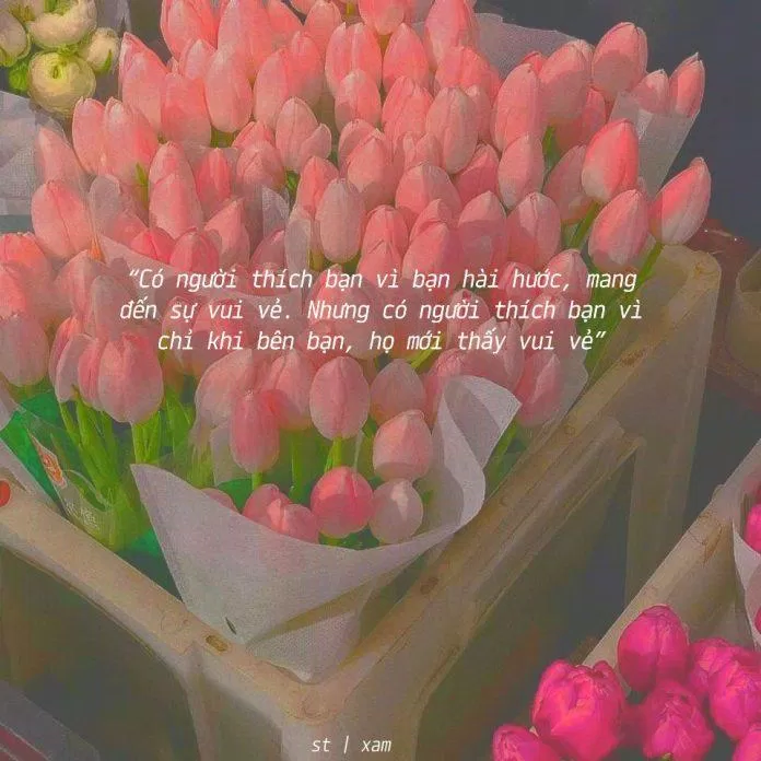 Cap thả thính Valentine cực ngọt cực nghệ. (Ảnh: Internet)