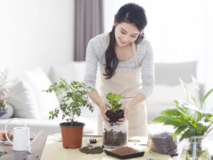 Thử ngay 10 cách thư giãn tại nhà cực kì đơn giản mà hiệu quả cực cao ánh sáng trong nhà chăm dưỡng làn da chăm sóc da chăm sóc da body chăm sóc da tại nhà Dọn dẹp nhà cửa đọc sách lập danh sách việc làm ngâm trong bồn tắm nghe nhạc những cách thư giãn tại nhà hiệu quả thiền định thư giãn cơ thể thư giãn tại nhà tinh dầu top 10 cách thư giãn tại nhà hiệu quả trồng cây Yoga tại nhà