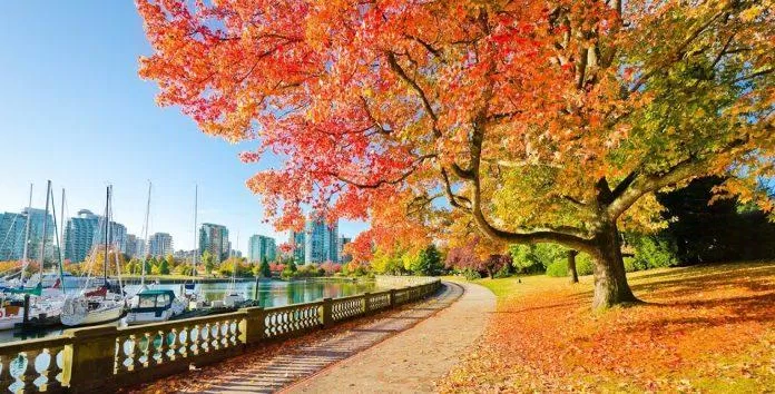 Công viên Stanley của Vancouver (Ảnh: Internet) Công viên Stanley của Vancouver (Ảnh: Internet)
