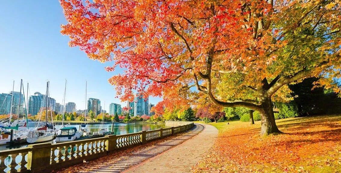 Công viên Stanley của Vancouver (Ảnh: Internet) Công viên Stanley của Vancouver (Ảnh: Internet)