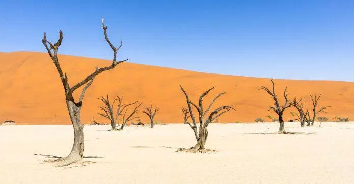 Deadvlei, Namibia - Nguồn: Internet Deadvlei, Namibia - Nguồn: Internet