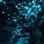Hang đom đóm Waitomo, New Zealand