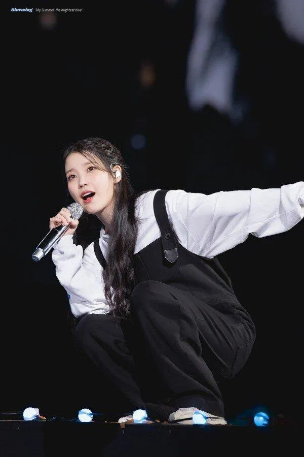 IU (Ảnh: Internet)
