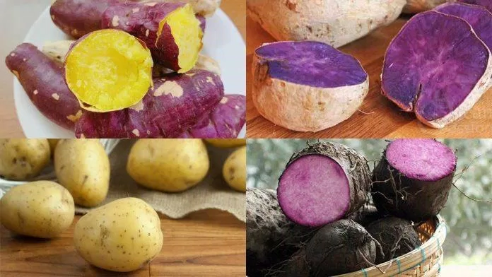 Lợi ích của khoai tây (Nguồn: Internet)