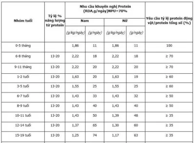 Bảng khuyến nghị về lượng protein cần nạp vào cơ thể (Ảnh: Internet) Bảng khuyến nghị về lượng protein cần nạp vào cơ thể (Ảnh: Internet)