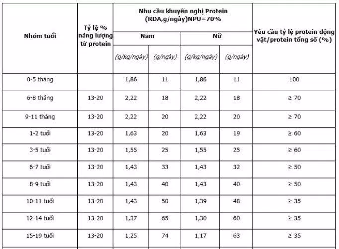 Bảng khuyến nghị về lượng protein cần nạp vào cơ thể (Ảnh: Internet)