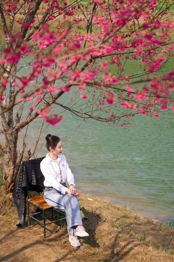 Ảnh: Nguyễn Việt Hoàng Ảnh: Nguyễn Việt Hoàng